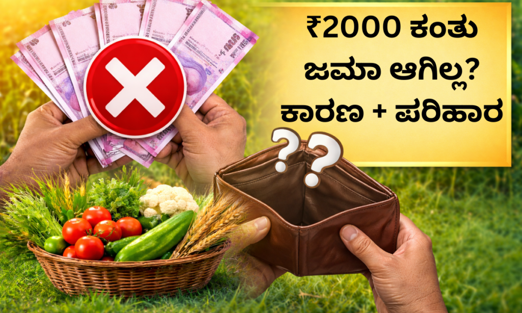 PM Kisan 2000 not credited Aadhaar link problem solution 2026